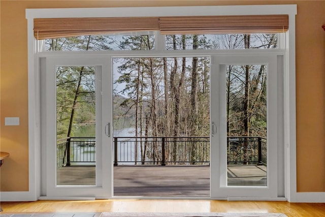 entryway featuring a healthy amount of sunlight and hardwood / wood-style floors