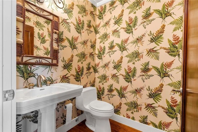 bathroom featuring wood-type flooring, toilet, and sink