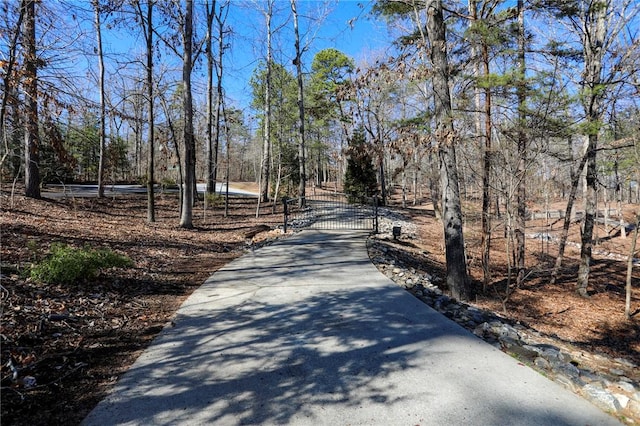 view of street featuring driveway, a gate, and a gated entry