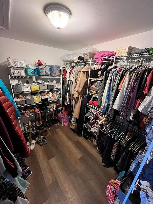 spacious closet featuring wood-type flooring