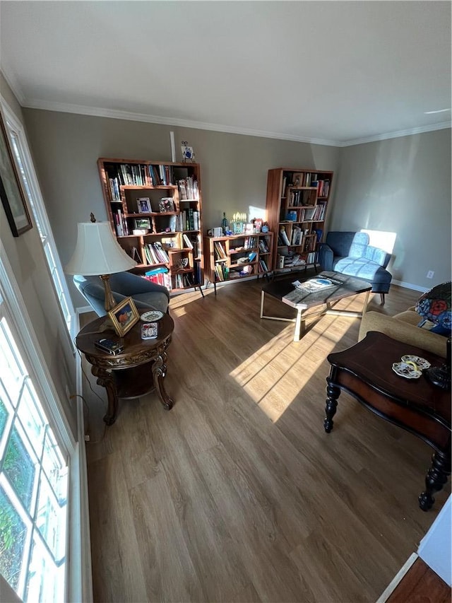 interior space with ornamental molding and wood-type flooring