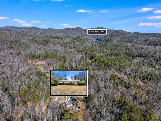 540 Gnats Hollow Rd, Mountain Rest, SC 29664 - aerial view of property's location featuring property boundaries highlighted, a mountainous background, and a forest