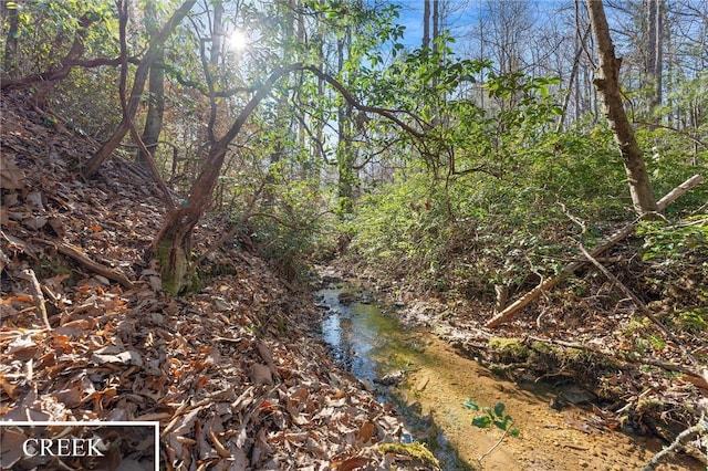 view of local wilderness