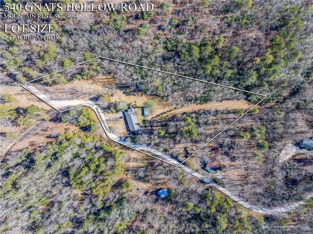 540 Gnats Hollow Rd, Mountain Rest, SC 29664 - bird's eye view
