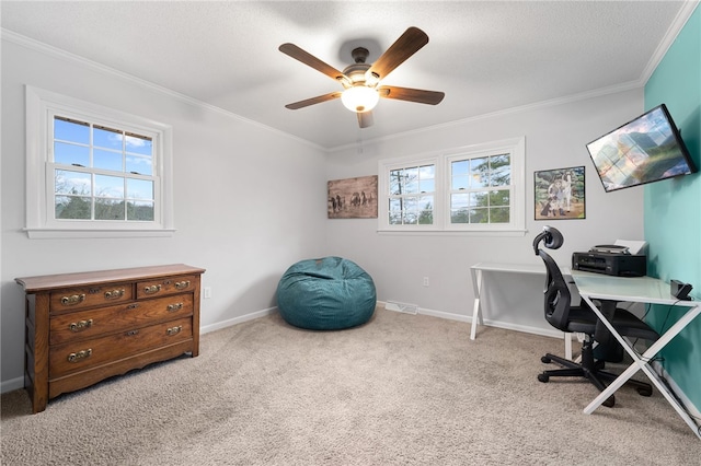 office featuring crown molding, plenty of natural light, light carpet, and a textured ceiling