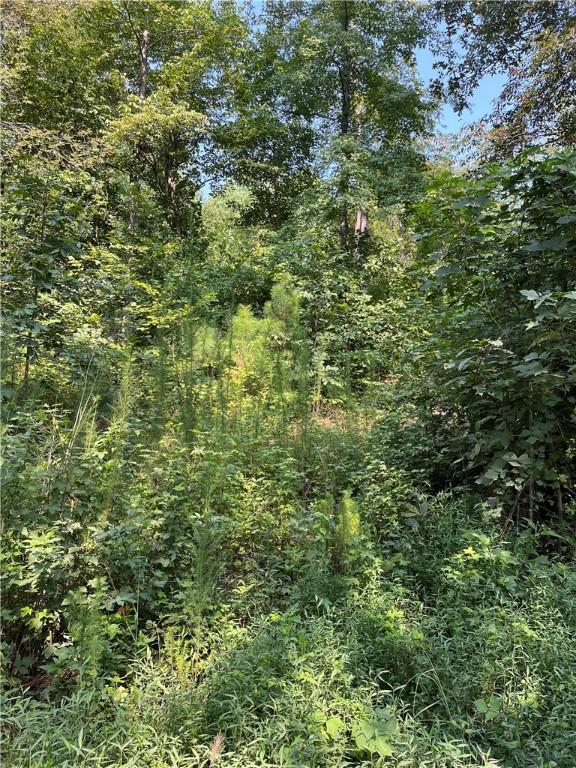 0 Riverbend Rd, Fair Play, SC 29643 - photo 3