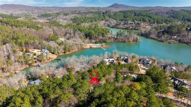 215 Long Ridge Rd, Sunset, SC 29685 - photo 40