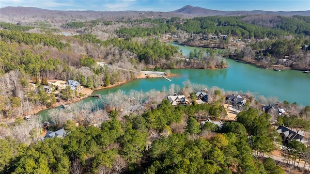 215 Long Ridge Rd, Sunset, SC 29685 - photo 41