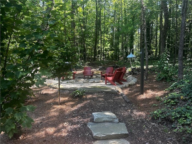 view of yard featuring a fire pit