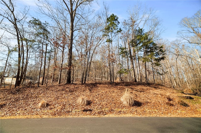 Listing photo 2 for LOT27 S Shore Dr, Fair Play SC 29643