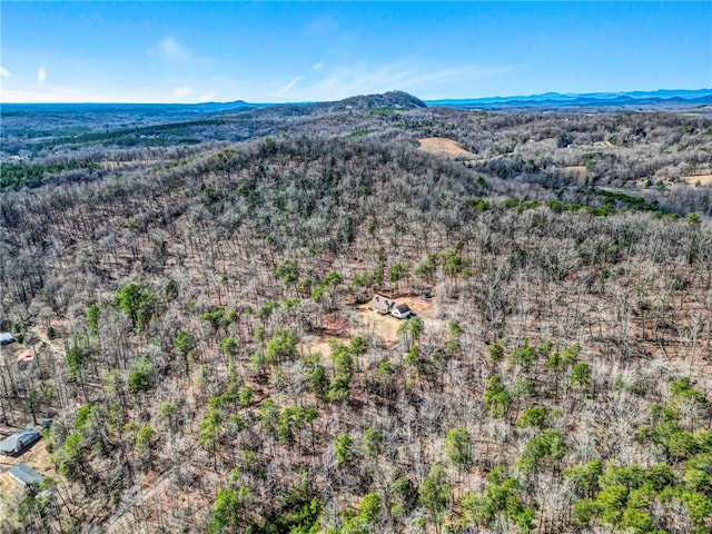 bird's eye view featuring a mountain view