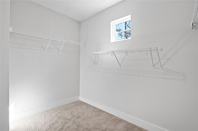 117 Norbert Ln, Anderson, SC 29624 - walk in closet featuring carpet