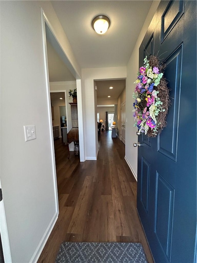 foyer entrance with dark hardwood / wood-style floors