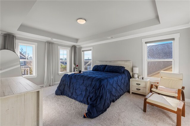 carpeted bedroom with a raised ceiling