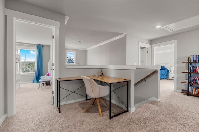 carpeted office featuring ornamental molding