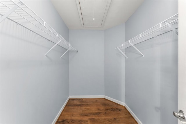 spacious closet featuring dark hardwood / wood-style flooring