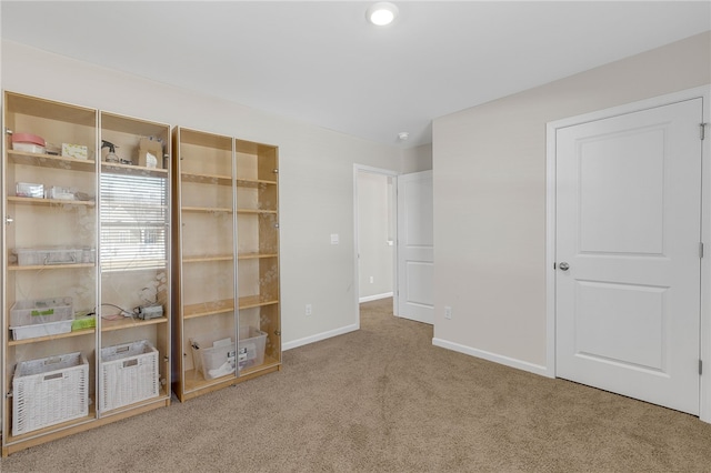 interior space featuring carpet floors