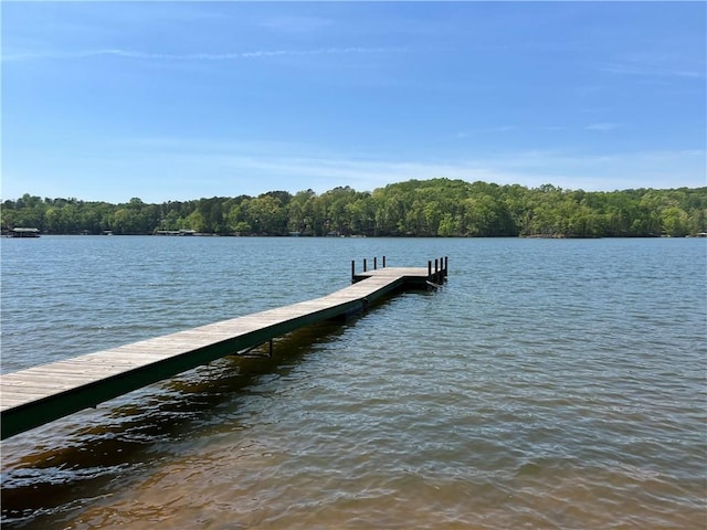 278 Blackjack Cove Rd, Westminster, SC 29693 - photo 6