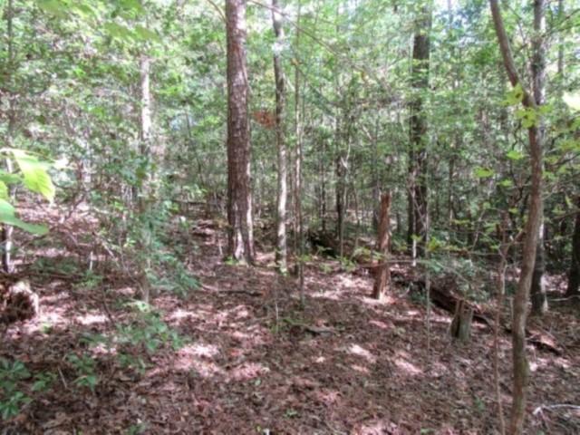 122 Hambys Way, Pickens, SC 29671 - photo 8