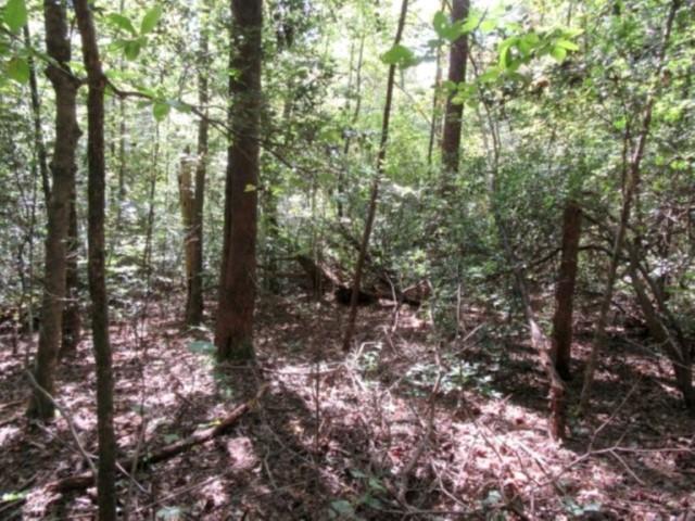 122 Hambys Way, Pickens, SC 29671 - photo 9