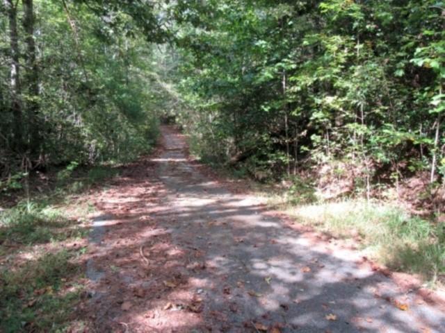 122 Hambys Way, Pickens, SC 29671 - photo 13