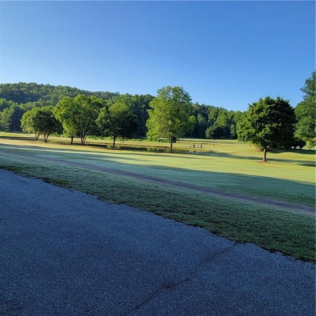 122 Hambys Way, Pickens, SC 29671 - photo 29