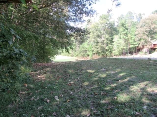122 Hambys Way, Pickens, SC 29671 - photo 1