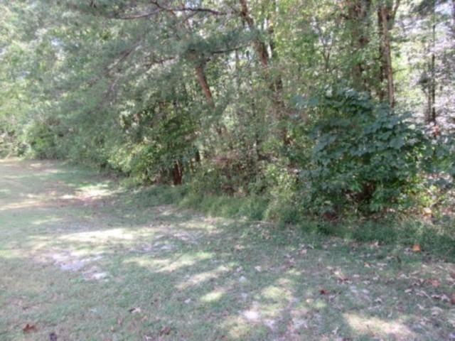 122 Hambys Way, Pickens, SC 29671 - photo 2