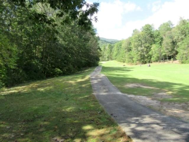 122 Hambys Way, Pickens, SC 29671 - photo 4