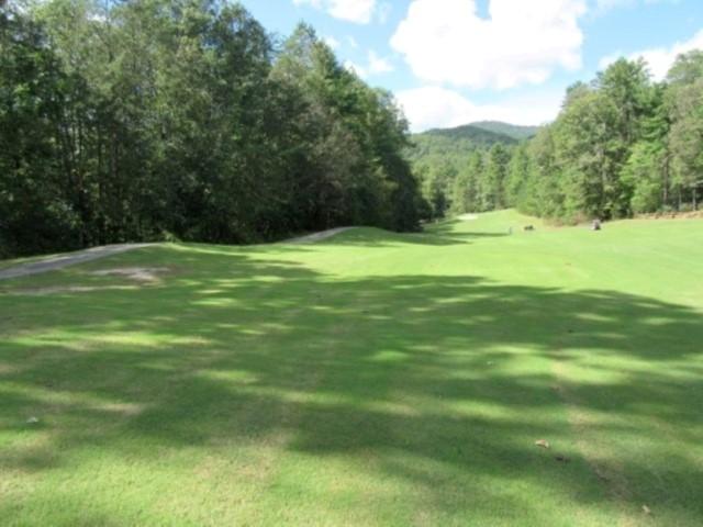 122 Hambys Way, Pickens, SC 29671 - photo 5