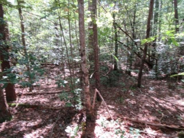 122 Hambys Way, Pickens, SC 29671 - photo 6