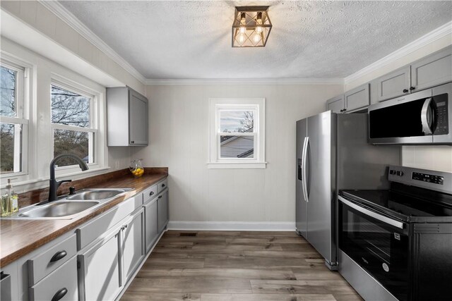 kitchen featuring gray cabinetry, stainless steel appliances, butcher block counters, a sink, and dark wood finished floors