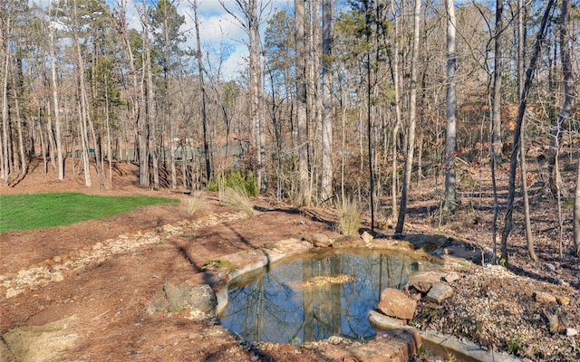 view of swimming pool featuring a view of trees