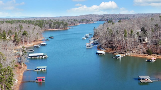 bird's eye view with a water view and a view of trees