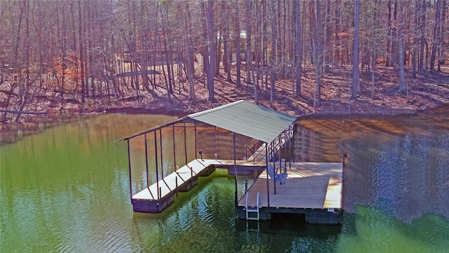 dock area with a water view