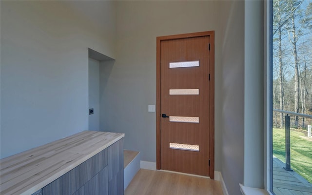 entrance foyer with baseboards and light wood finished floors