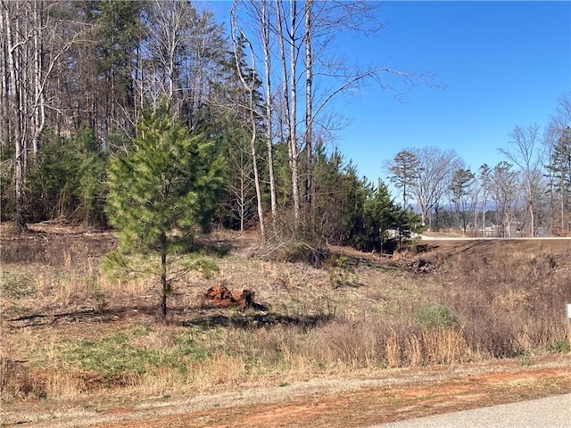 Listing photo 3 for LOT43 Keowee Cv, Seneca SC 29672