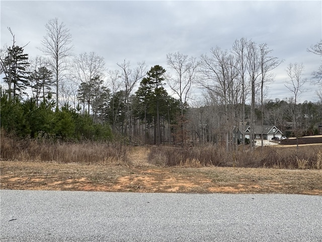 Listing photo 3 for 620 Crooked Trace Ln, Seneca SC 29672