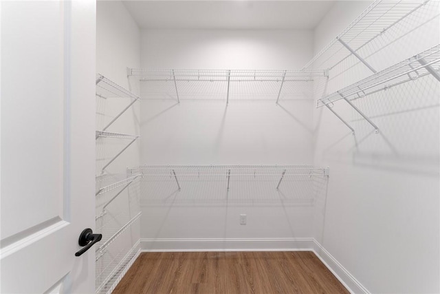 walk in closet featuring wood finished floors