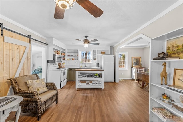 93 Parnell Rd, Abbeville, SC 29620 - living area featuring ceiling fan, a barn door, light wood-type flooring, and baseboards