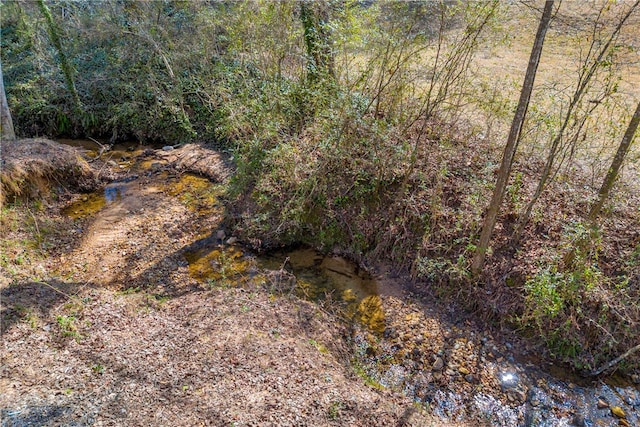 view of local wilderness