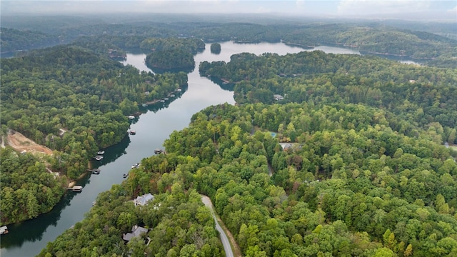 aerial view with a water view and a view of trees