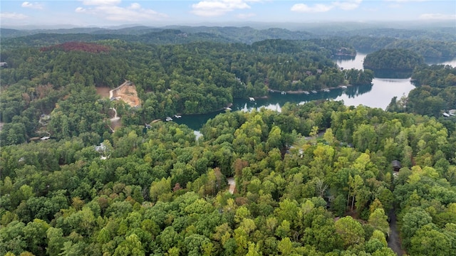 aerial view with a water view and a wooded view