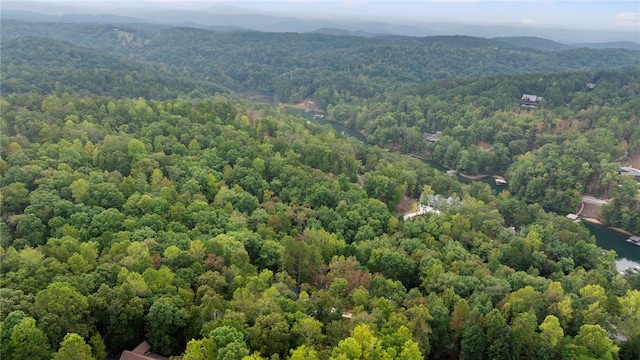 bird's eye view with a forest view