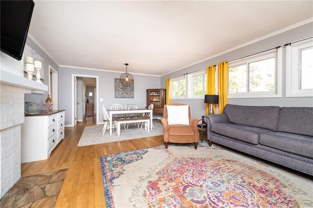 living room featuring a textured ceiling, crown molding, and light wood-style floors