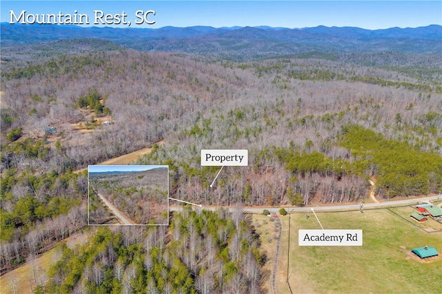 00 Academy Rd, Mountain Rest SC, 29664 land for sale