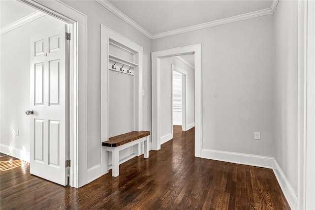 mudroom featuring baseboards, dark wood-type flooring, and crown molding