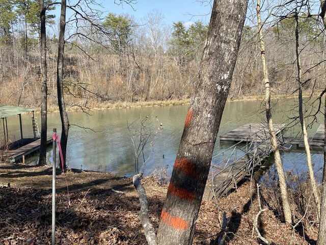 LOT22 Rivoli Point Rd, Westminster, SC 29693 - photo 2