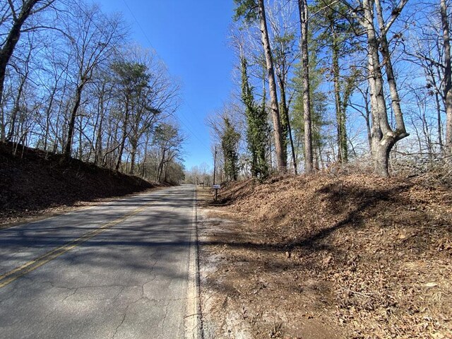 LOT22 Rivoli Point Rd, Westminster, SC 29693 - photo 4