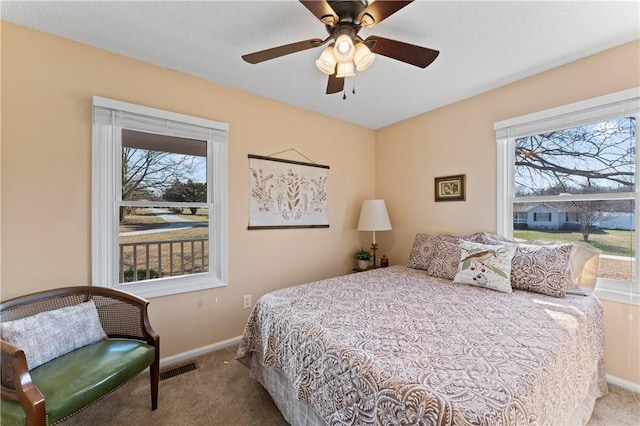 123 Bass Dr, Fair Play, SC 29643 - bedroom featuring carpet floors, baseboards, and multiple windows